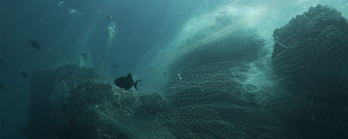 Fish swimming near tangled fishing net caught on coral reef formations