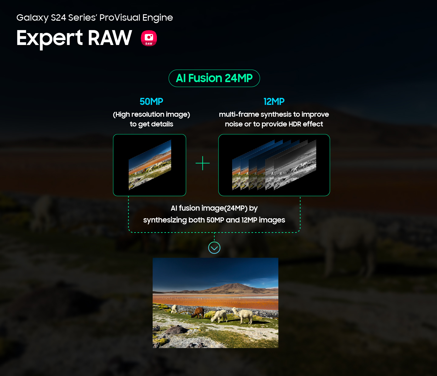 003-ProVisualEngine-Capture-Perfect-Shot-Expert-RAW Infographic image of Galaxy S24 series' ProVisual Engine Expert RAW