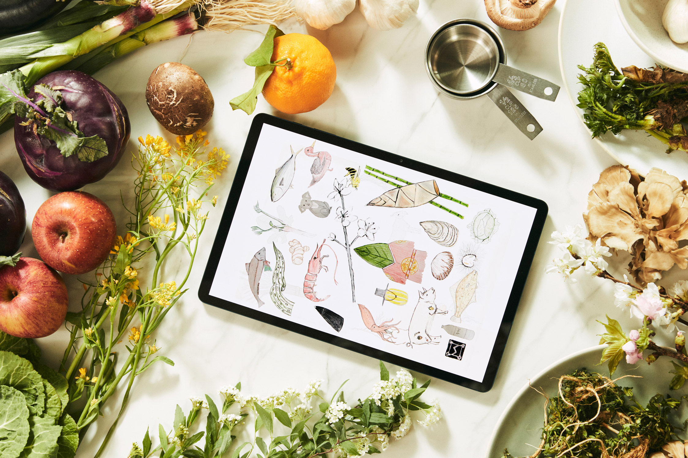 Illustrations of ingredients on the Galaxy Tab S7+