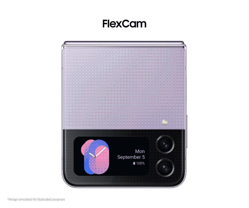 05_Flexcam_0902.gif