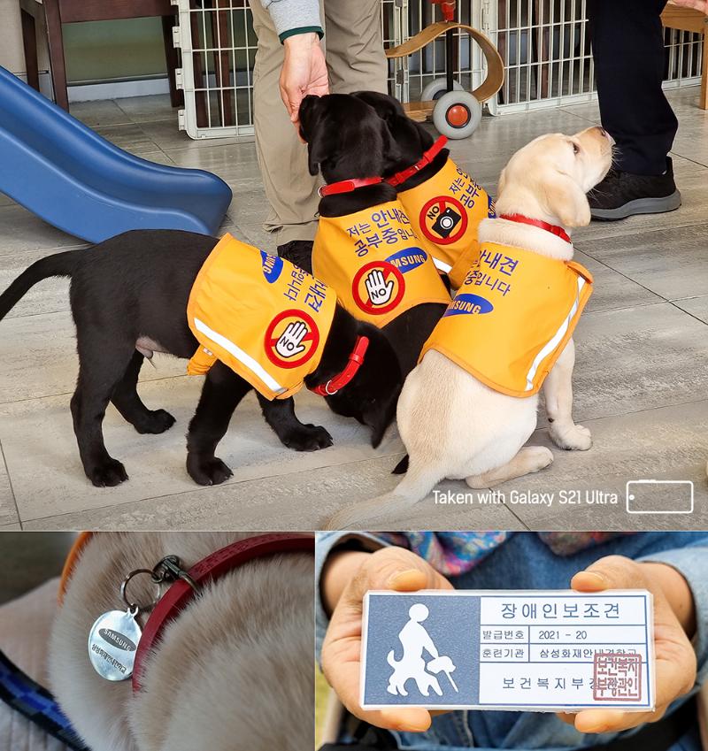 09_life_of_a_guide_dog-1.jpg