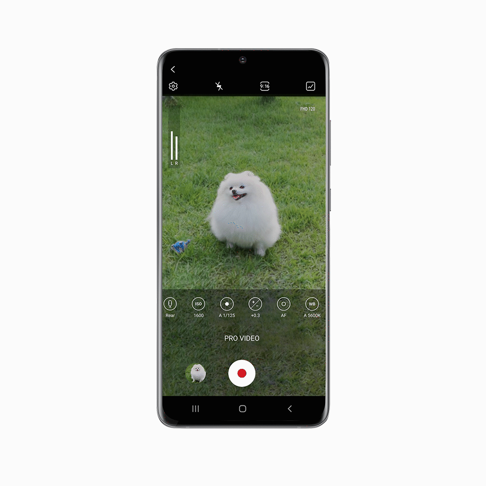UI of Pro Video mode when filming a puppy with the Galaxy S20