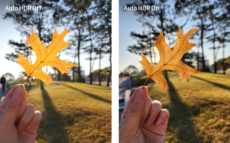 Auto HDR_Comparison.jpg