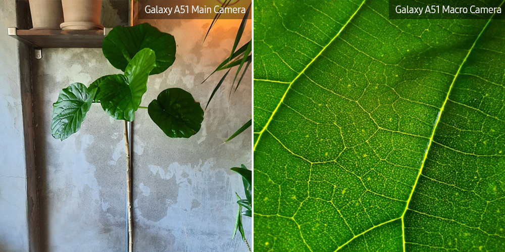 galaxy a51 macro lens plant